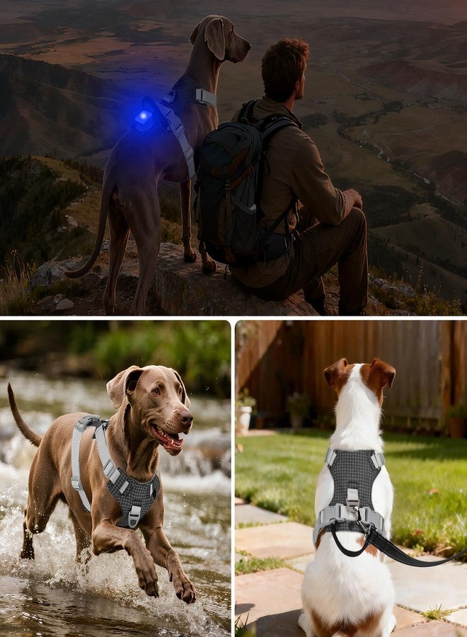 Joytale No Pull Dog Harness with AirTag Holder, Soft Night Safety Light up Dog Harness with Control Handle and 2 Clips, Adjustable Lightweight Dog Vest for Small Sized Pet Everyday Use, Black, S - Image 4